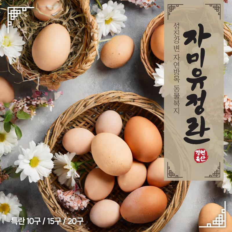 첨부된 이미지파일